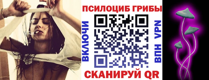 Галлюциногенные грибы Magic Shrooms  даркнет формула  Высоцк 